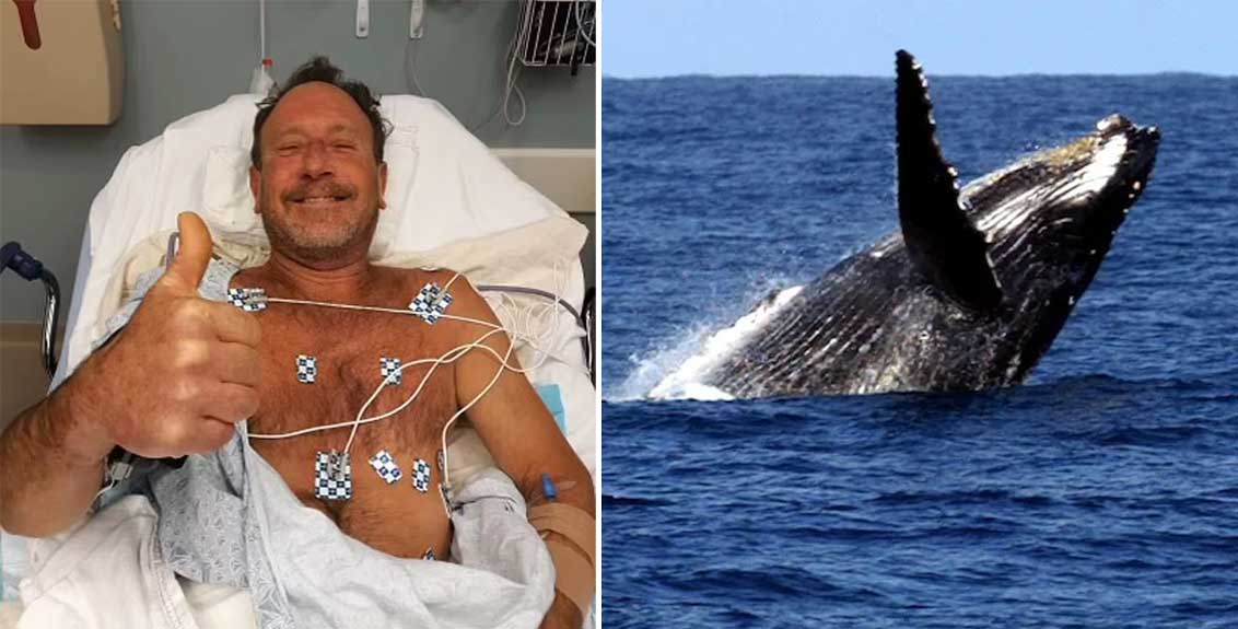 US lobster diver claims he was swallowed by a whale