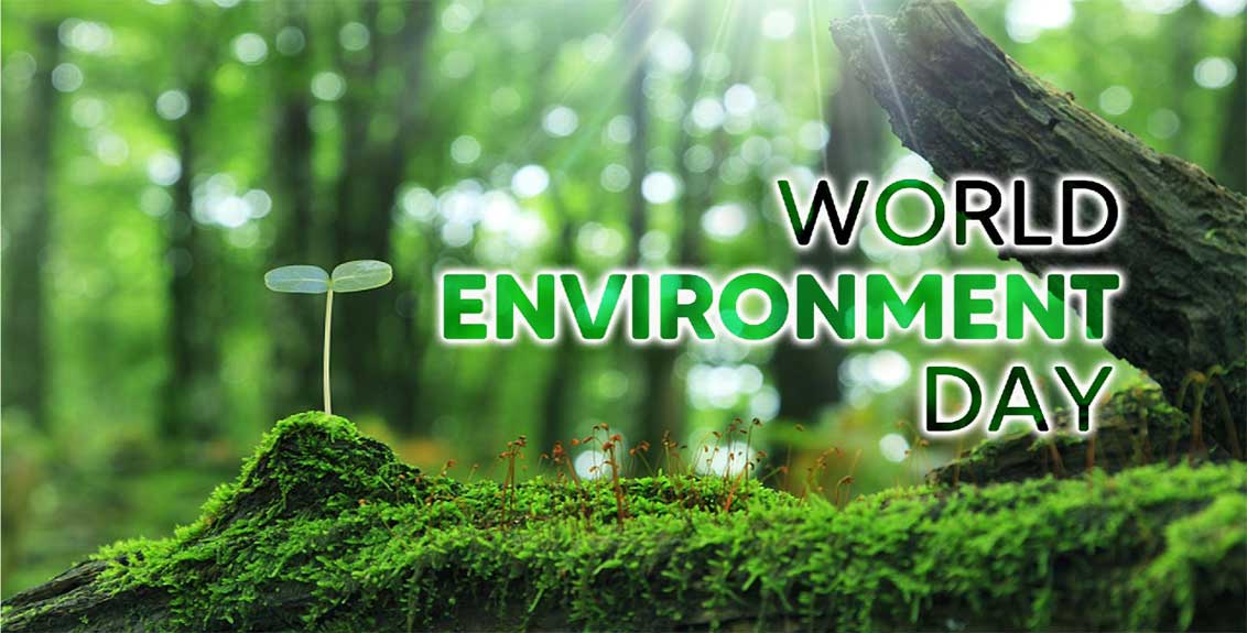 World Environment Day: The need to focus on what is needed to protect the environment
