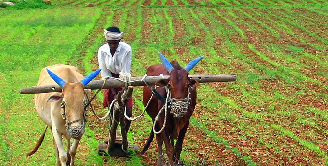 Government Announcement Hike Msp For Kharif Crops 2021-22