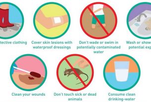 bmc warns citizens over leptospirosis infection know about exposure prevention risks