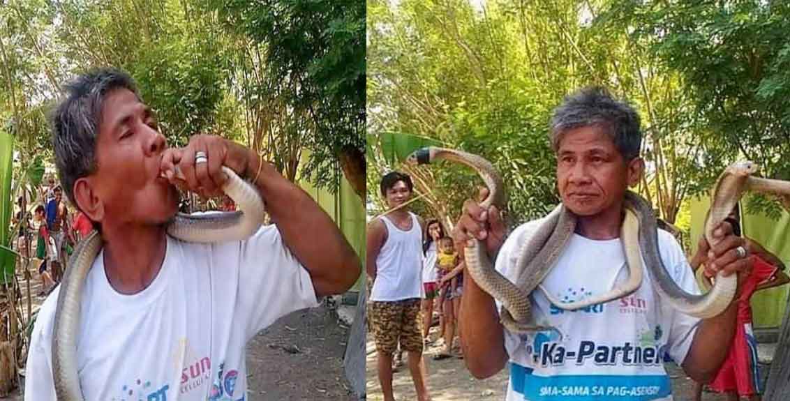 filipino snake man who claimed he was immune venom dies after cobra bit him
