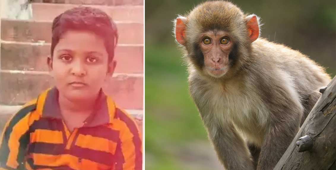In Nanded Child Died Due To Fear Of Monkey