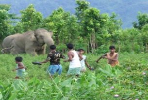 Give priority to measures to prevent human-wildlife conflict