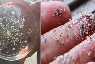 Microplastics Found In Human Blood For First Time Particles Can Travel Around The Body