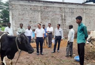 Veterinarians should be treated as per improved recommendations for lumpy - Animal Husbandry Commissioner Sachindra Pratap Singh