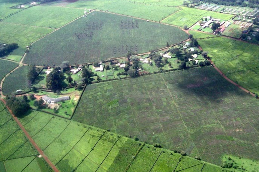 A proposal should be submitted after examining the amendments to the Fragmentation Act