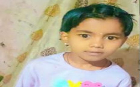 Six-Year-Old Girl Dies in Stray Dog Attack in Kadegaon