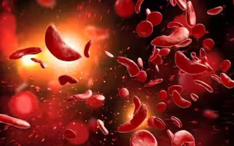 Sickle Cell Screening Special Fortnight in Maharashtra | Health Minister Prakash Abitkar