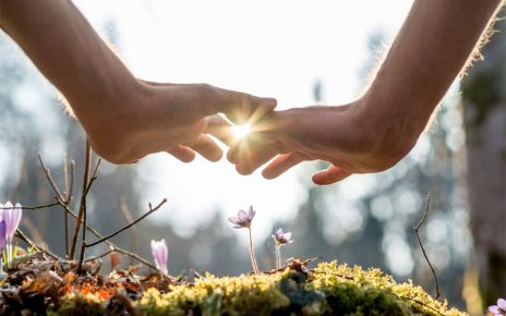 A gentle reminder that hope, support, and new beginnings can grow even after the darkest moments.